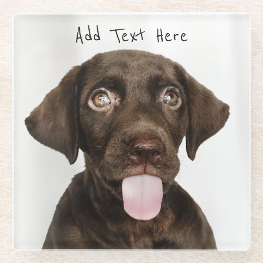Chocolade Lab Puppy Glazen Onderzetter (Voorkant)