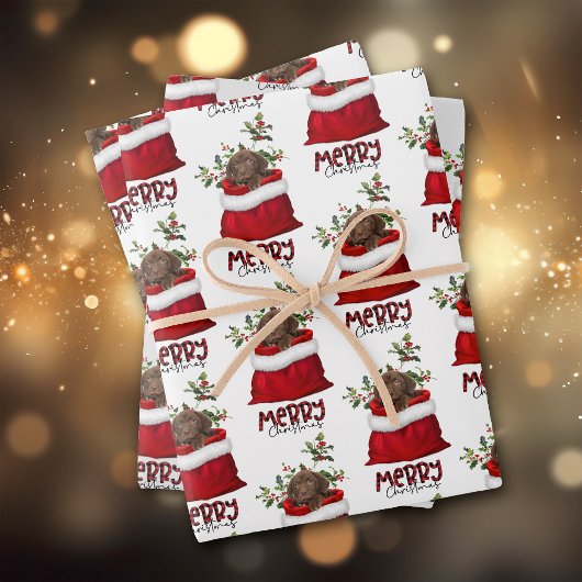 Chocolade Lab Puppy in feestcadeau Inpakpapier Vel