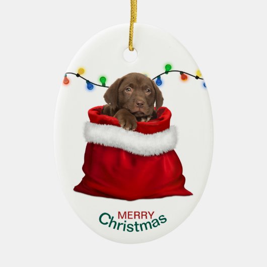 Chocolade Lab Puppy in feestcadeau Keramisch Ornament (Voorkant)