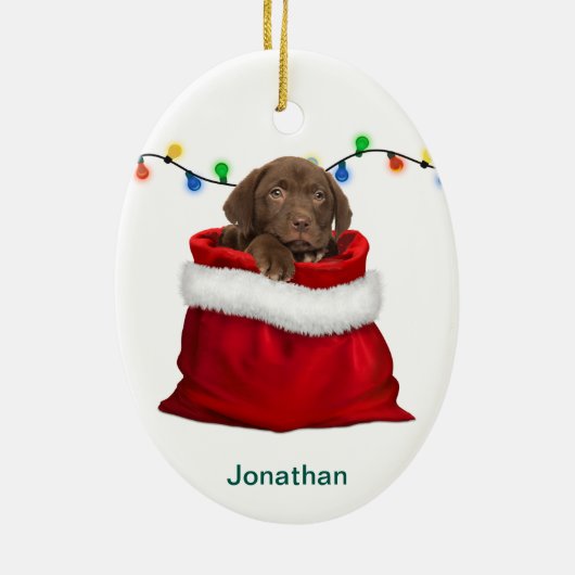 Chocolade Lab Puppy in feestcadeau Keramisch Ornament (Achterkant)