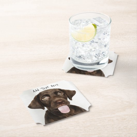 Chocolade Lab Puppy Kartonnen Onderzetters (Insitu)