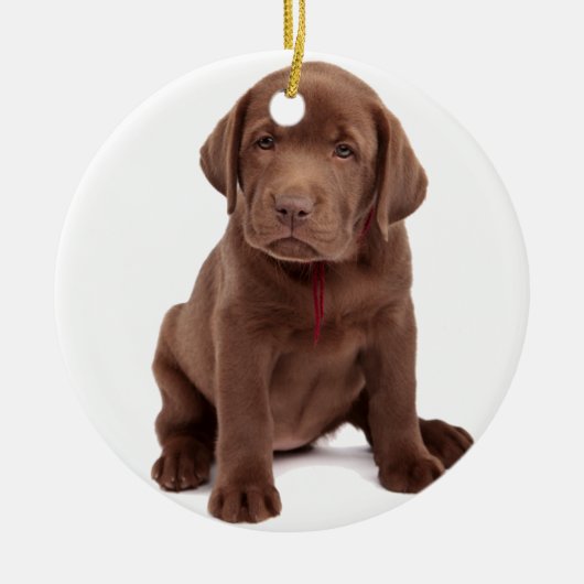 Chocolade Lab Puppy Keramisch Ornament (Voorkant)