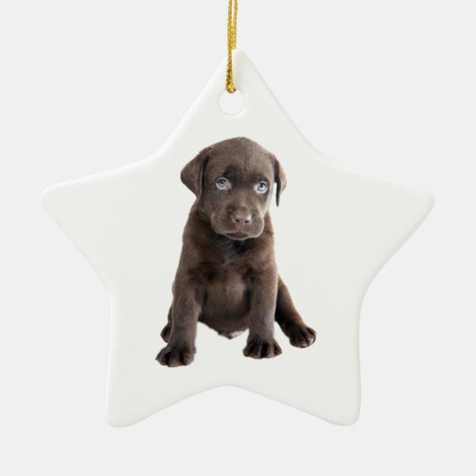 Chocolade Lab Puppy Keramisch Ornament (Voorkant)