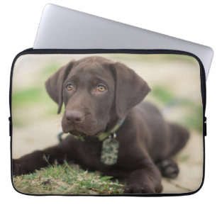 Chocolade Lab Puppy Laptop Sleeve