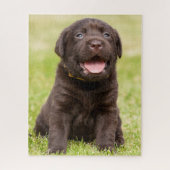 Chocolade Lab Puppy Legpuzzel (Verticaal)
