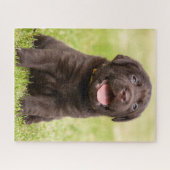 Chocolade Lab Puppy Legpuzzel (Horizontaal)