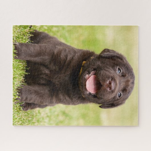 Chocolade Lab Puppy Legpuzzel (Horizontaal)