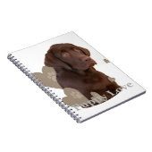Chocolade Lab Puppy Love Notitieboek (Rechterzijde)