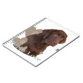 Chocolade Lab Puppy Love Notitieboek (Linkerzijde)