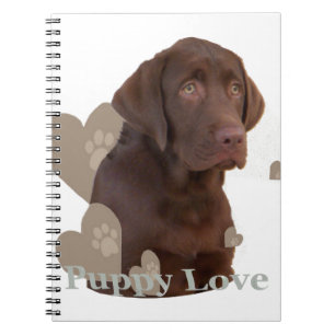 Chocolade Lab Puppy Love Notitieboek