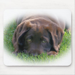 Chocolade Lab Puppy Muismat