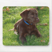 Chocolade Lab Puppy Muismat (Voorkant)
