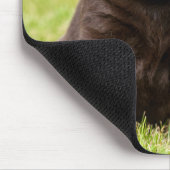 Chocolade Lab Puppy Muismat (Hoek)