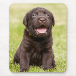 Chocolade Lab Puppy Muismat