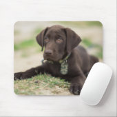 Chocolade Lab Puppy Muismat (Met muis)