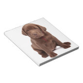 Chocolade Lab Puppy Notitieblok (Schuin)