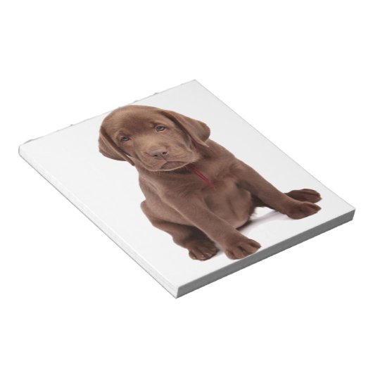 Chocolade Lab Puppy Notitieblok (Schuin)