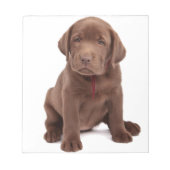 Chocolade Lab Puppy Notitieblok (Voorkant)