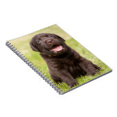 Chocolade Lab Puppy Notitieboek (Rechterzijde)