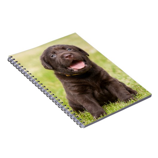 Chocolade Lab Puppy Notitieboek (Rechterzijde)