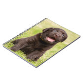 Chocolade Lab Puppy Notitieboek (Linkerzijde)