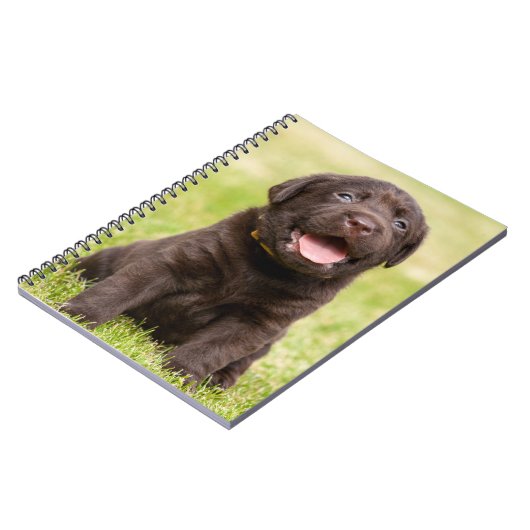Chocolade Lab Puppy Notitieboek (Linkerzijde)