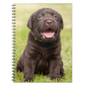 Chocolade Lab Puppy Notitieboek (Voorkant)
