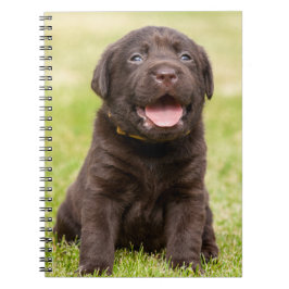 Chocolade Lab Puppy Notitieboek