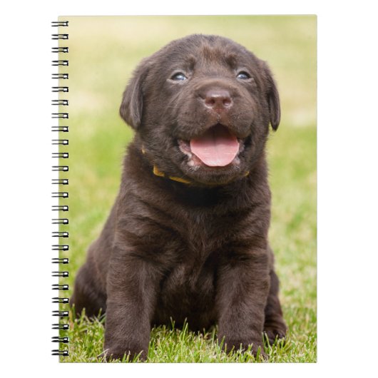 Chocolade Lab Puppy Notitieboek (Voorkant)