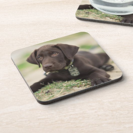 Chocolade Lab Puppy Onderzetter (Linkerzijde)