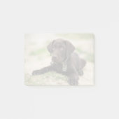 Chocolade Lab Puppy Post-it® Notes (Voorkant)