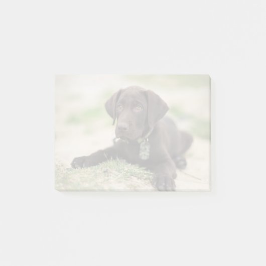 Chocolade Lab Puppy Post-it® Notes (Voorkant)