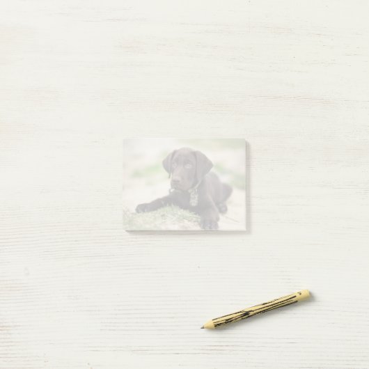 Chocolade Lab Puppy Post-it® Notes (Op bureau)