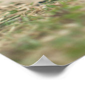 Chocolade Lab Puppy Poster (Hoek)