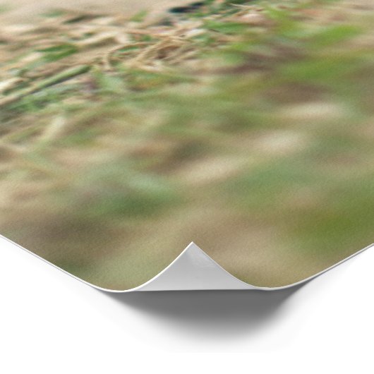 Chocolade Lab Puppy Poster (Hoek)