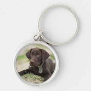 Chocolade Lab Puppy Sleutelhanger