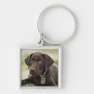 Chocolade Lab Puppy Sleutelhanger