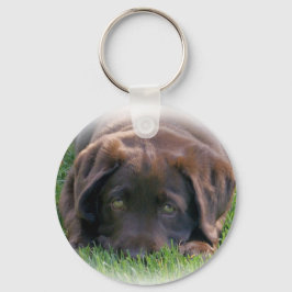 Chocolade Lab Puppy Sleutelhanger