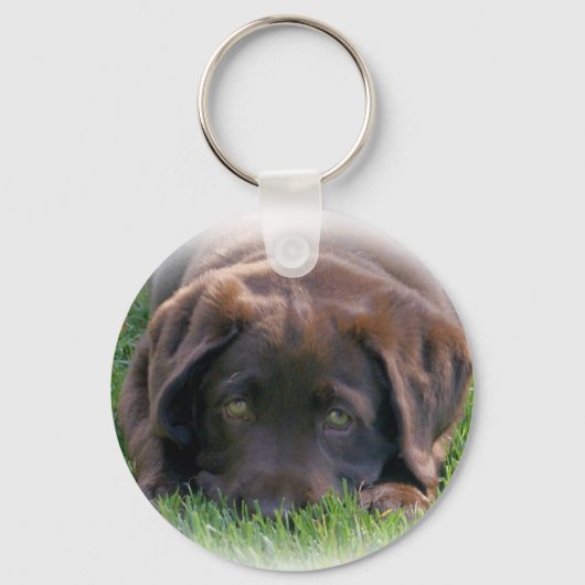 Chocolade Lab Puppy Sleutelhanger (Voorkant)