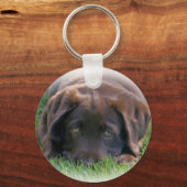 Chocolade Lab Puppy Sleutelhanger (Voorkant)