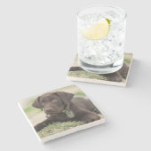 Chocolade Lab Puppy Stenen Onderzetter (Zijkant)