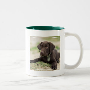 Chocolade Lab Puppy Tweekleurige Koffiemok