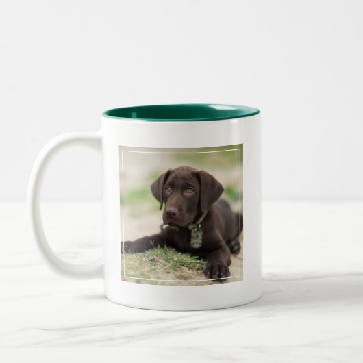 Chocolade Lab Puppy Tweekleurige Koffiemok (Links)