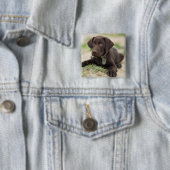Chocolade Lab Puppy Vierkante Button 5,1 Cm (In situ)