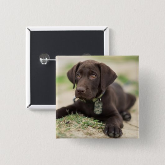 Chocolade Lab Puppy Vierkante Button 5,1 Cm (Voorkant /achterkant)