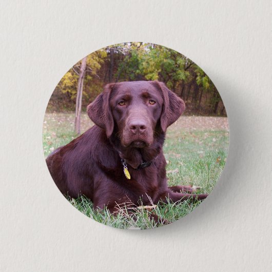 Chocolade Lab Ronde Button 5,7 Cm (Voorkant)