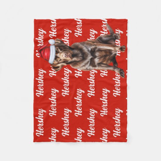 Chocolade Lab Santa Dog Custom Naam Kerst Fleece Deken (Voorkant)
