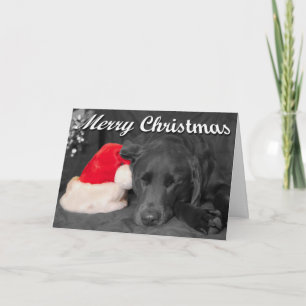Chocolade Lab Slapend Bij Kerstman Hoed Foto Feestdagen Kaart