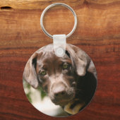 Chocolade Lab Sleutelhanger (Voorkant)
