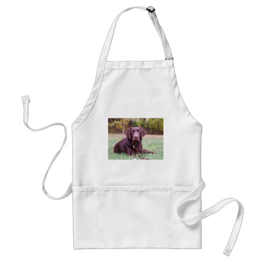 Chocolade Lab Standaard Schort (Voorkant)